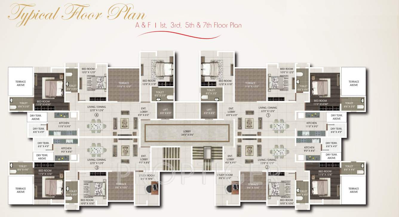 viviana Images for Cluster Plan of Gini Viviana