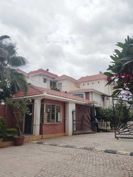  lake-drive Elevation