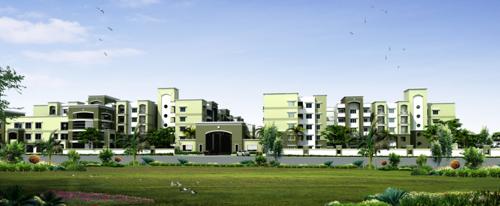  orchids Images for Elevation of Mahaveer Orchids