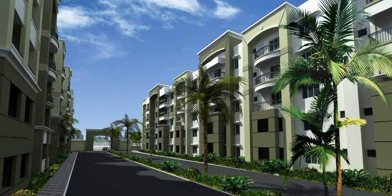 orchids Images for Elevation of Mahaveer Orchids