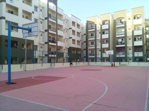  orchids Basketball Court