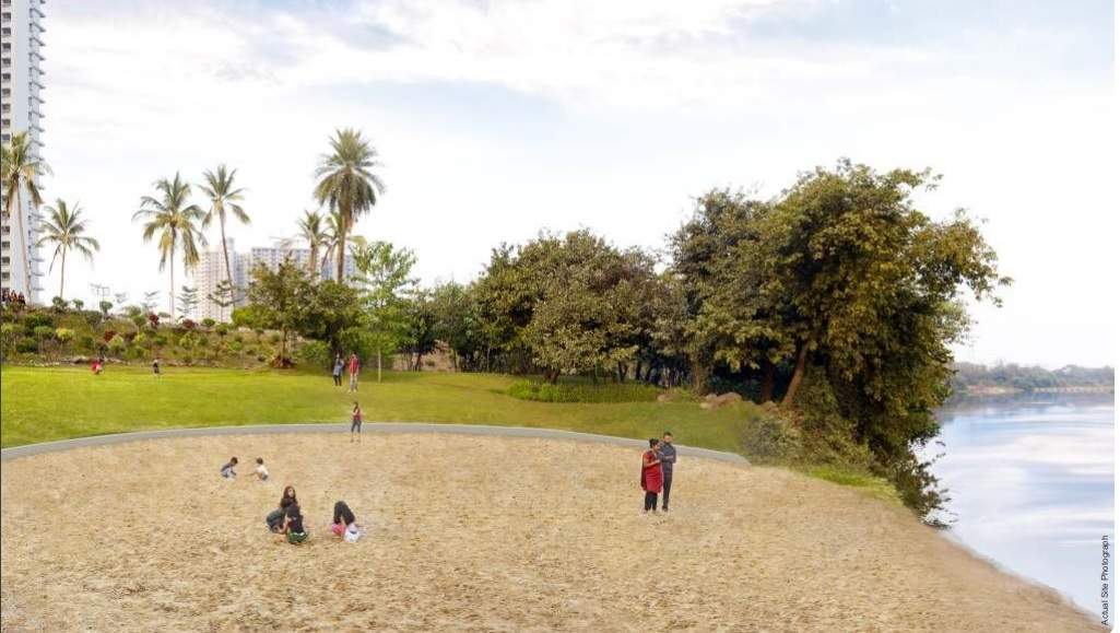  blue ridge Landscape Garden and Tree Planting