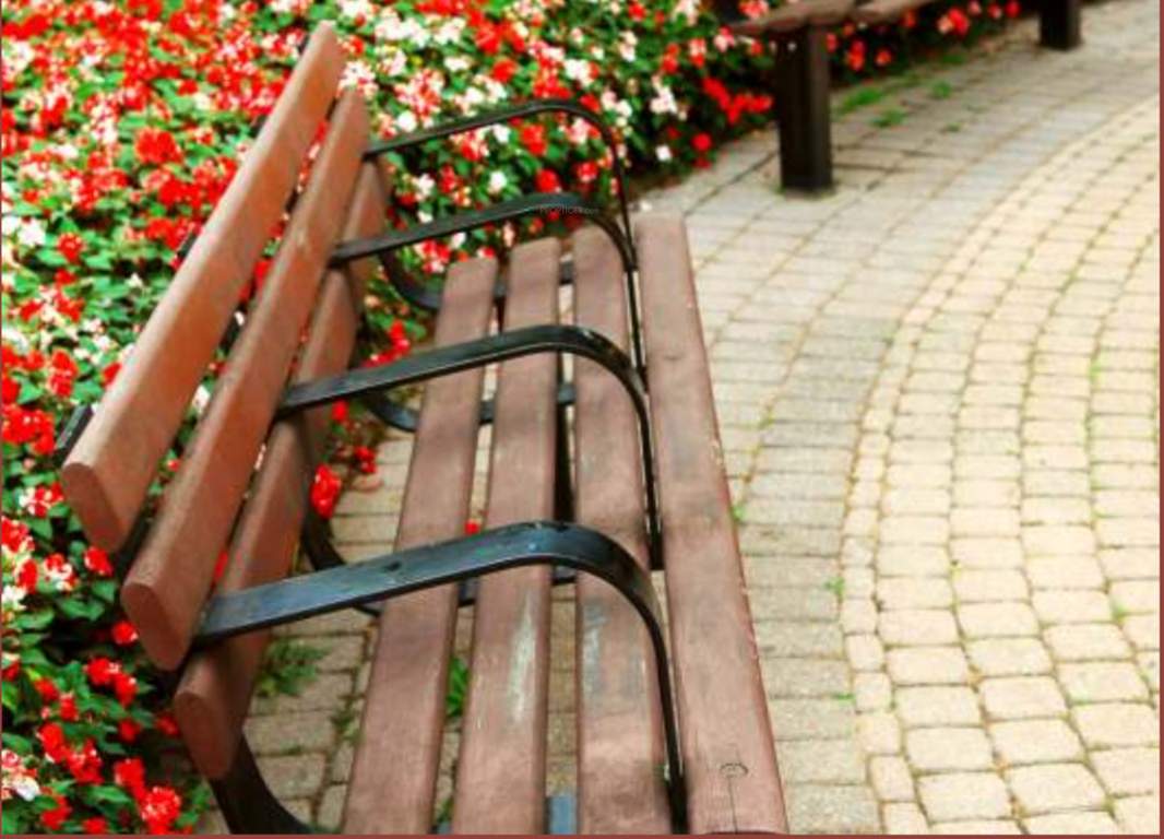  riviera Senior Citizen Siteout