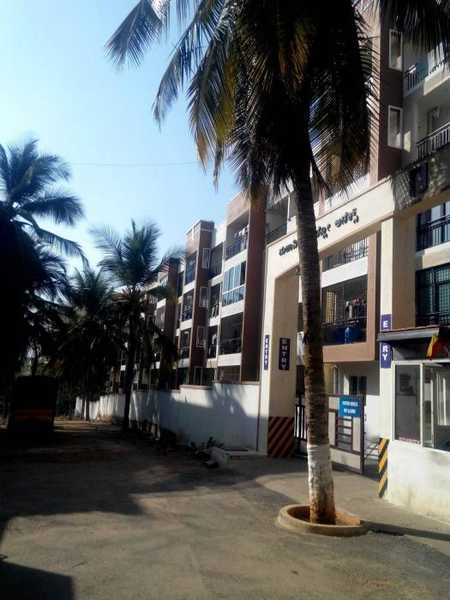 willow annex Elevation