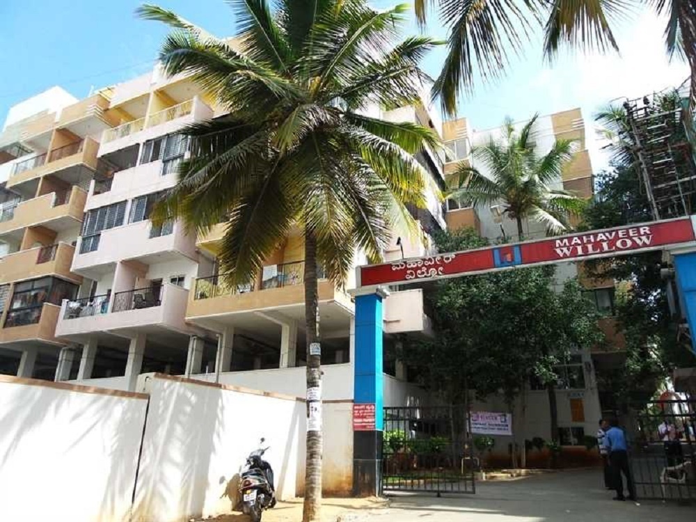 willow annex Elevation