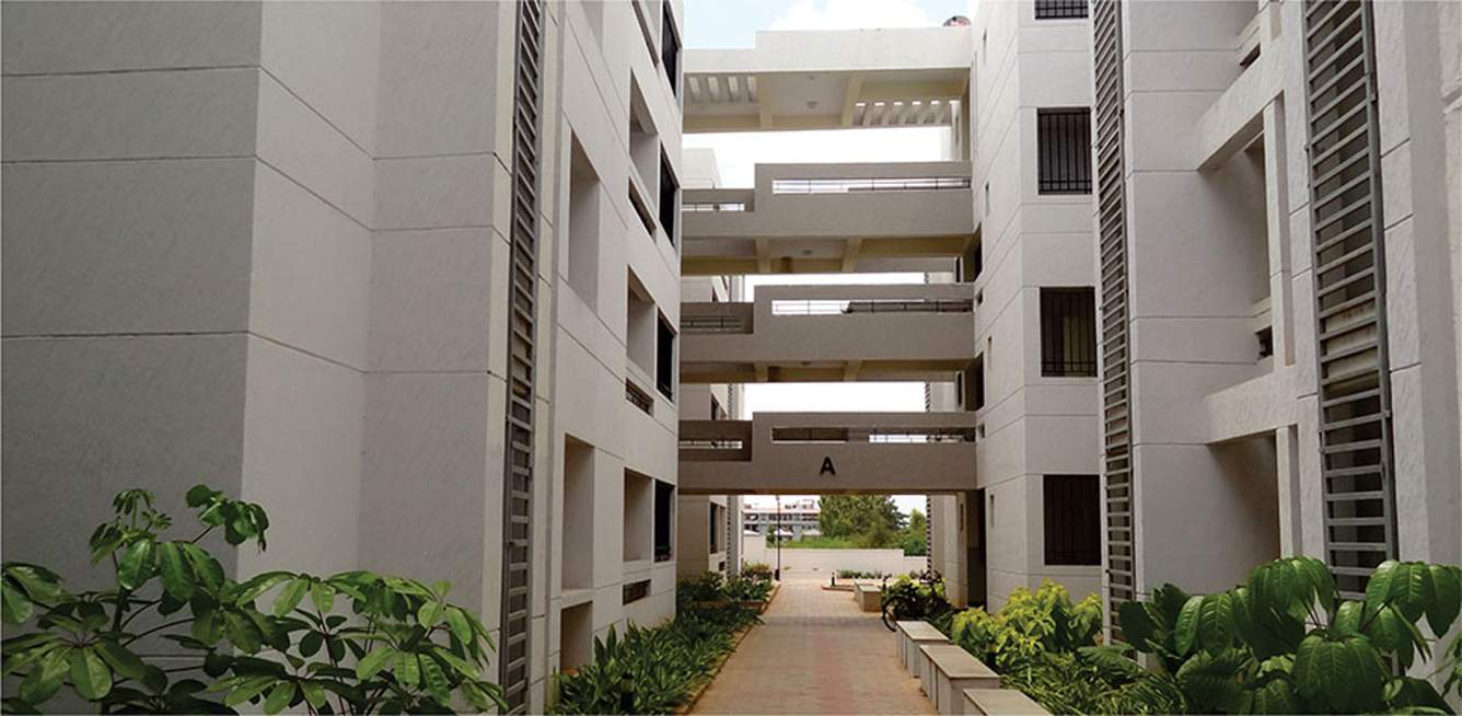 exotica Images for Elevation of Renaissance Exotica