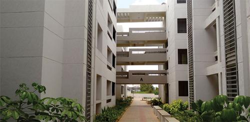 Images for Elevation of Renaissance Exotica exotica Images for Elevation of Renaissance Exotica