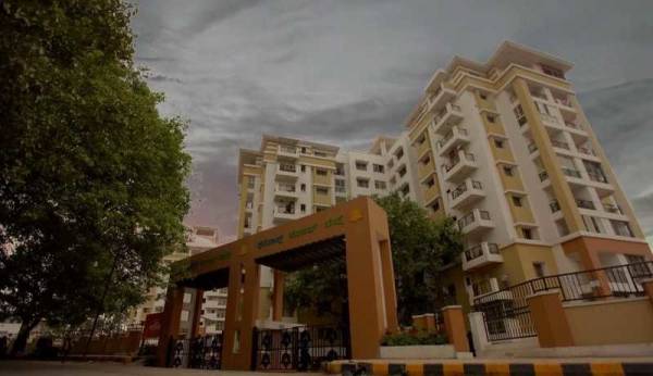  temple-bells Elevation