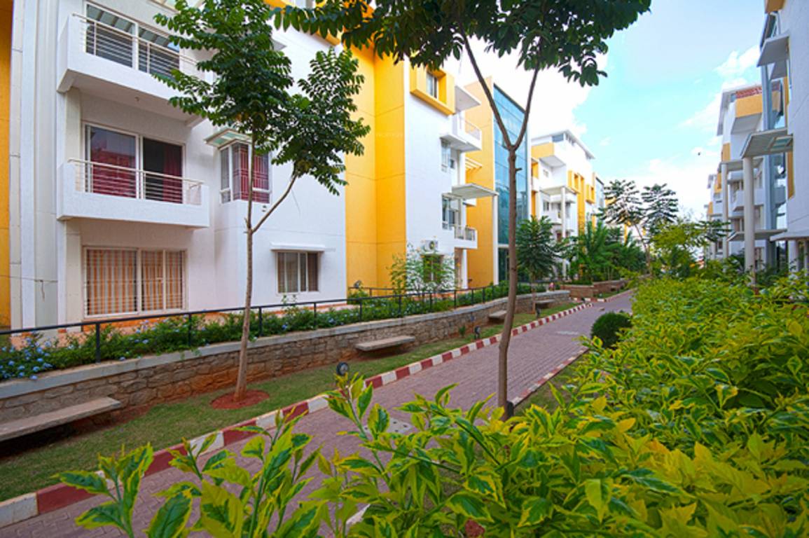  rustique Images for Elevation of Citilights Rustique