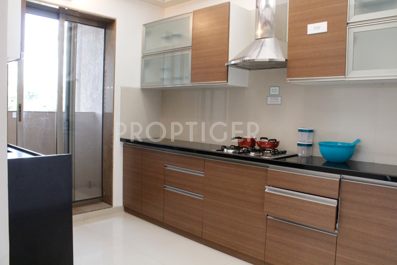 Images for Main Other of Pride Purple Park Turquoise