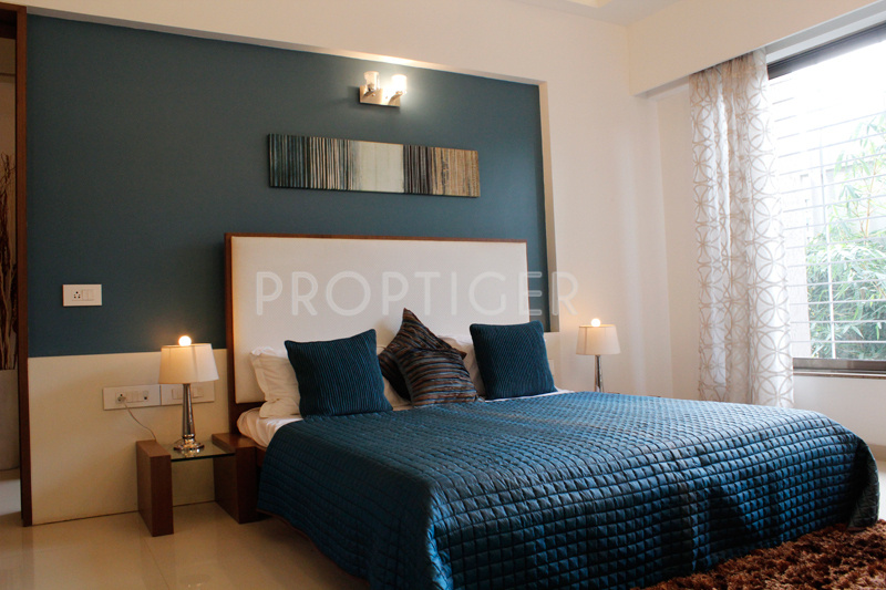 Images for Main Other of Pride Purple Park Turquoise