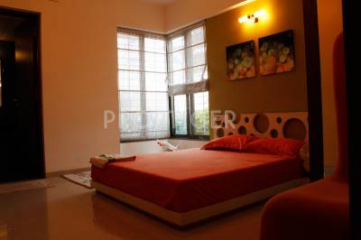 Images for Main Other of Pride Purple Park Turquoise