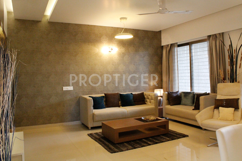 Images for Main Other of Pride Purple Park Turquoise