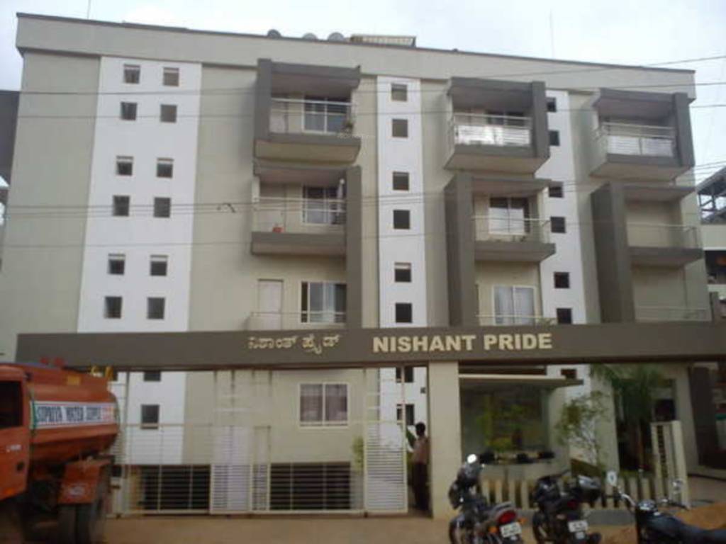 Elevation  pride Elevation