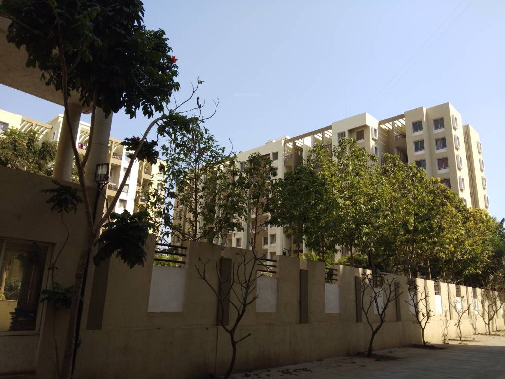 neo city Images for Project