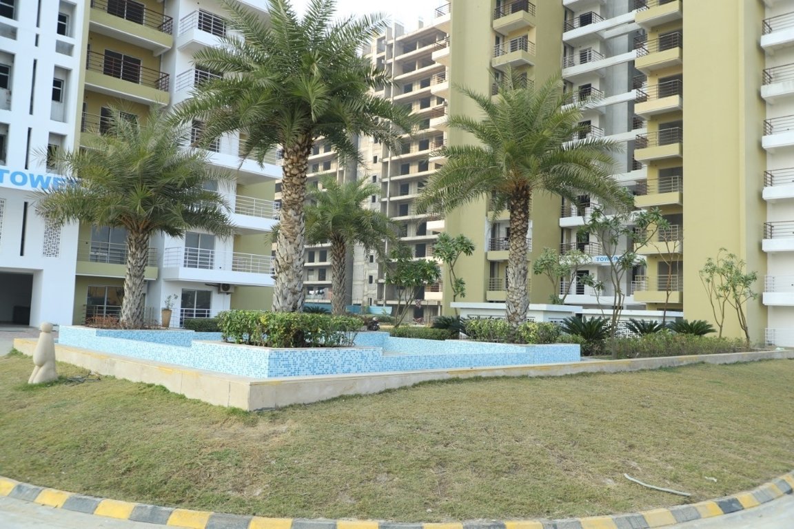  blith Landscape Garden and Tree Planting