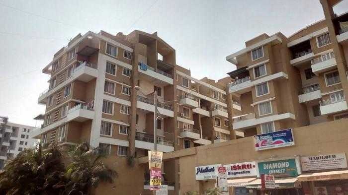 palm breeze Elevation