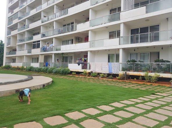 benchmark Landscape Garden and Tree Planting