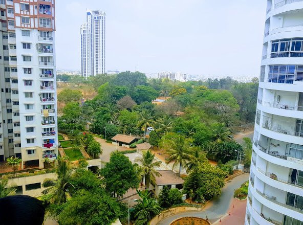 benchmark Landscape Garden and Tree Planting