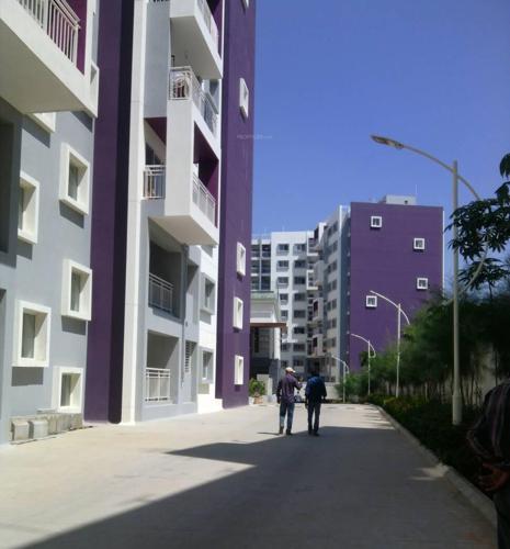  celestia Images for Elevation of Bren Celestia