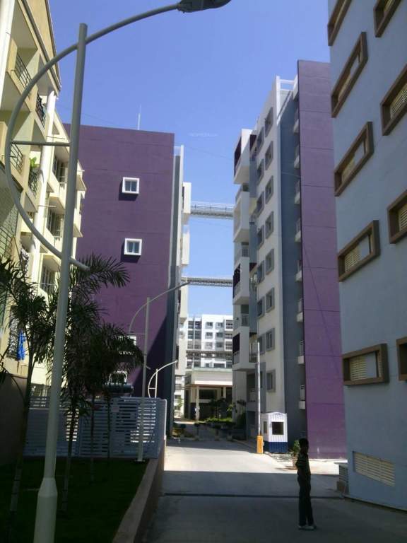 celestia Images for Elevation of Bren Celestia