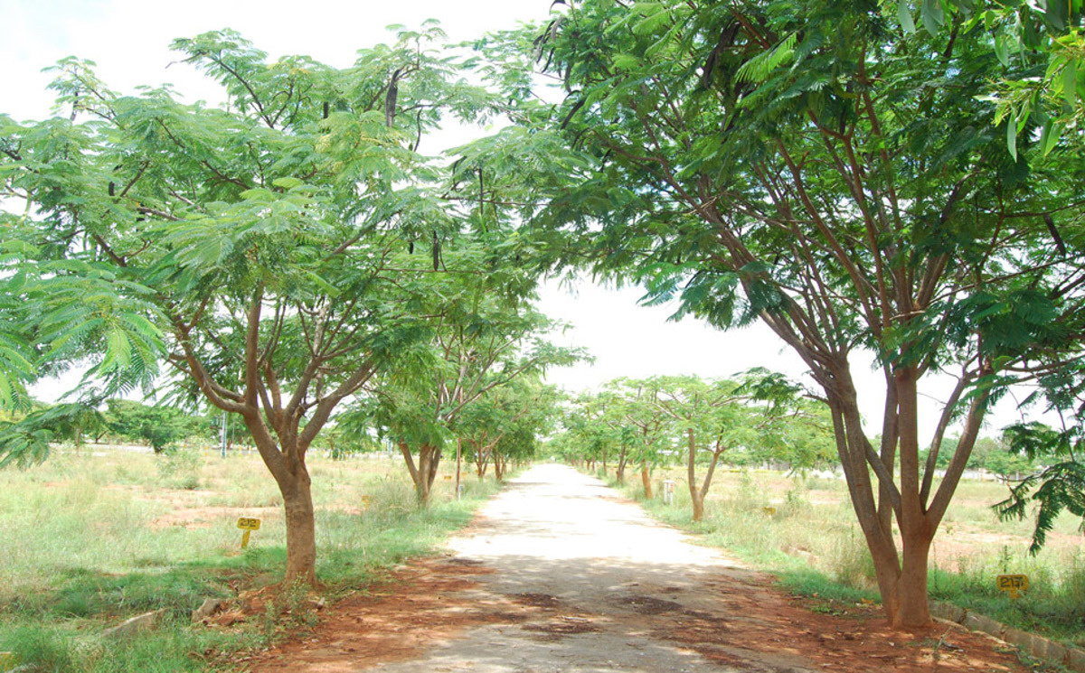 Images for Main Other of Aashrayaa Aero Springs