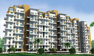  pacific Images for Elevation of Pristine Pacific