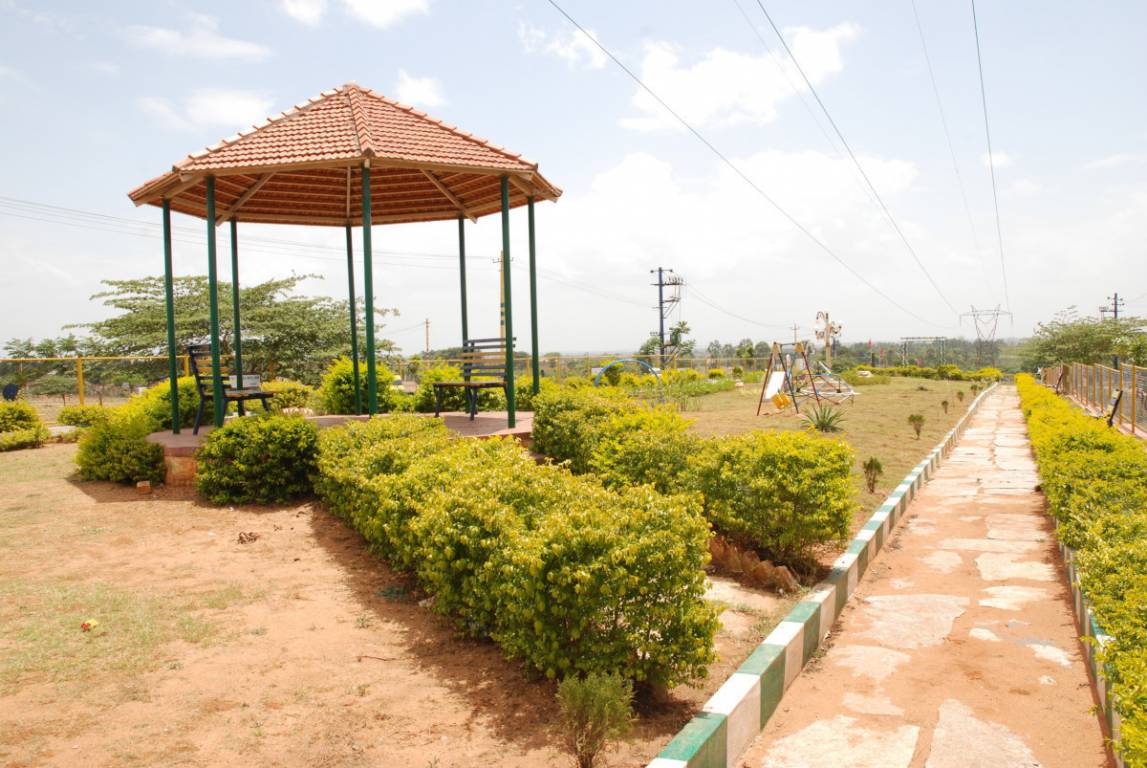  spring fields Landscape Garden and Tree Planting