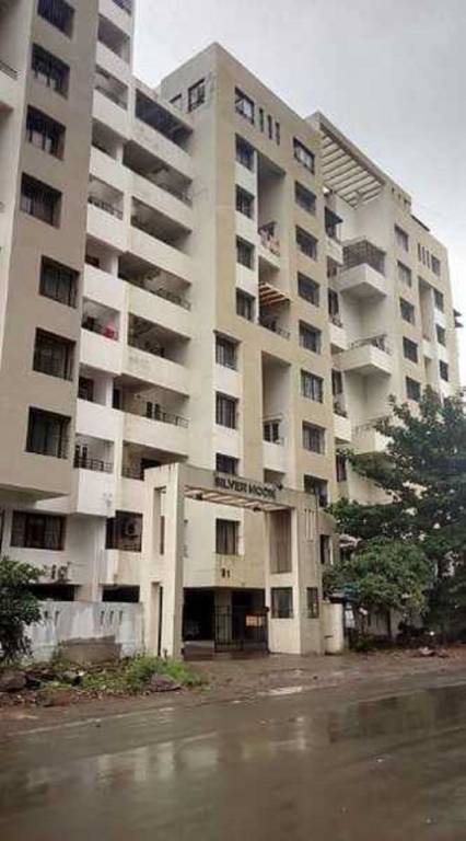 silver moon Elevation