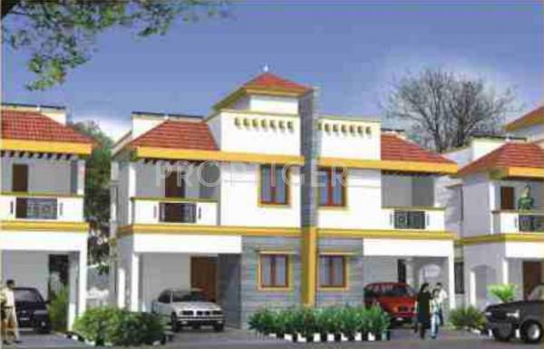  fairy-land Elevation