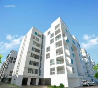 Images for Elevation of TVH Taus Images for Elevation of TVH Taus
