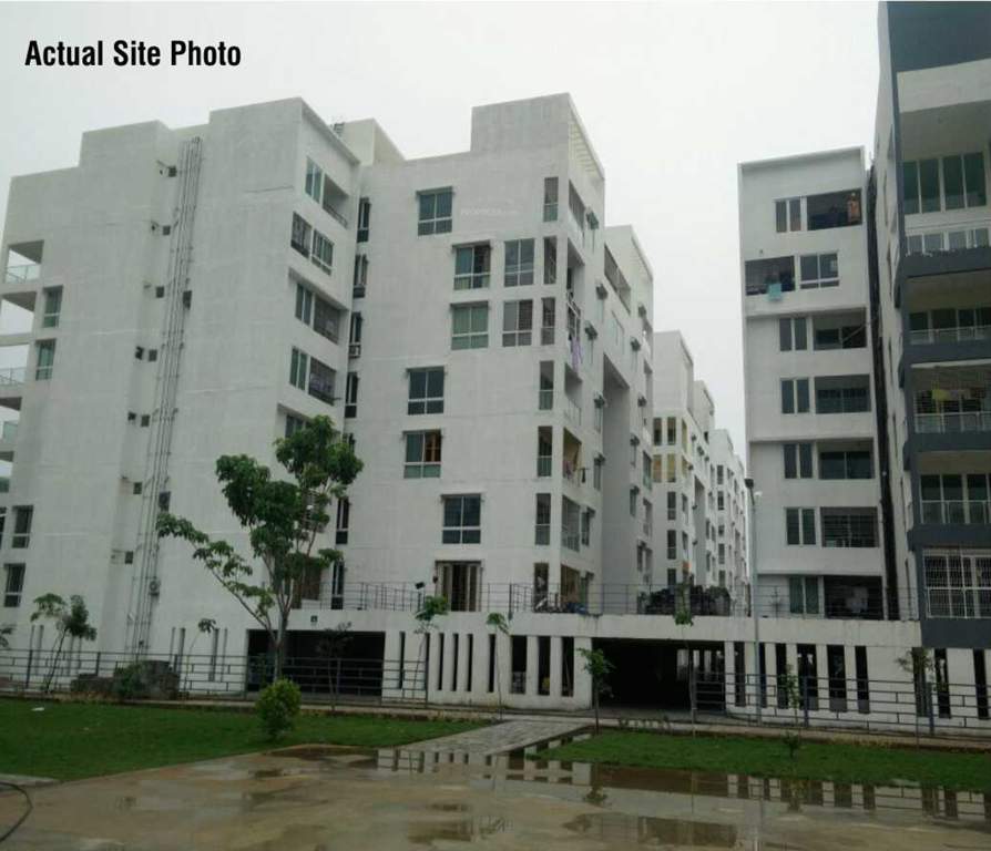  taus Images for Elevation of TVH Taus