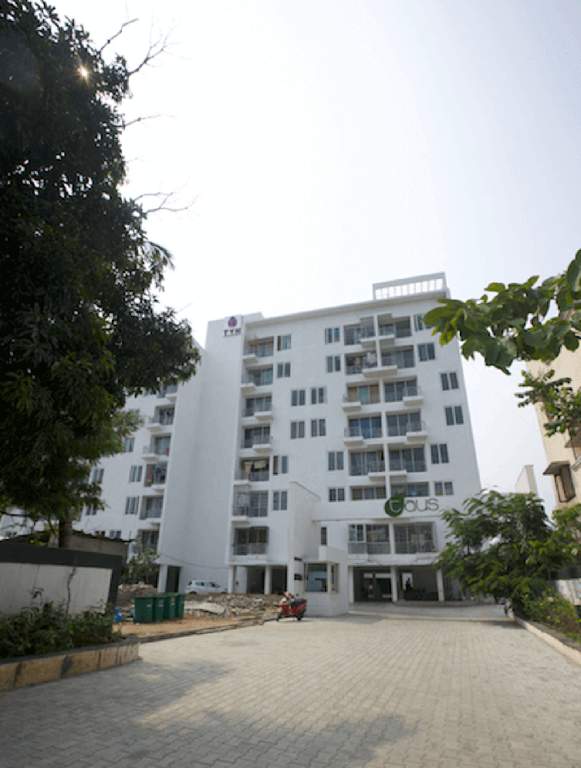  taus Images for Elevation of TVH Taus