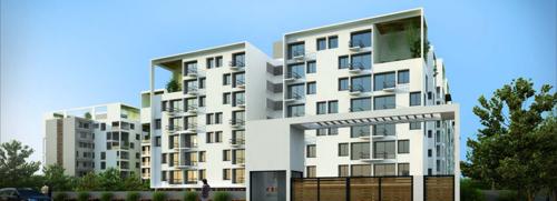 Images for Elevation of TVH Taus taus Images for Elevation of TVH Taus