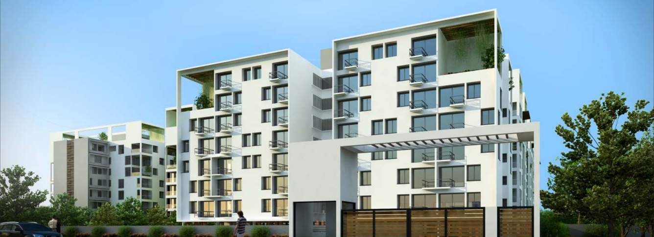  taus Images for Elevation of TVH Taus