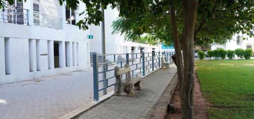 Landscape Garden and Tree Planting taus Landscape Garden and Tree Planting