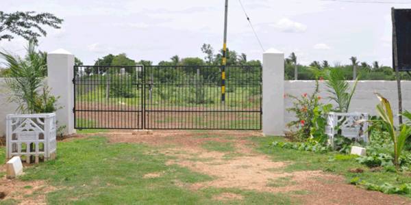 Images for Main Other of Sreeja Boomi Images for Main Other of Sreeja Boomi