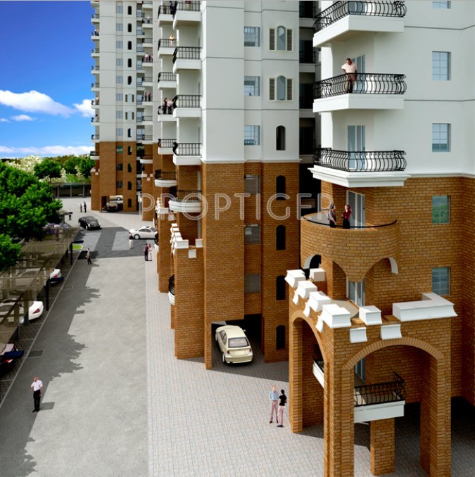 Images for Elevation of XS Real Properties Siena