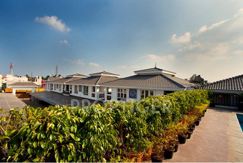 Images for Elevation of XS Villa Bali