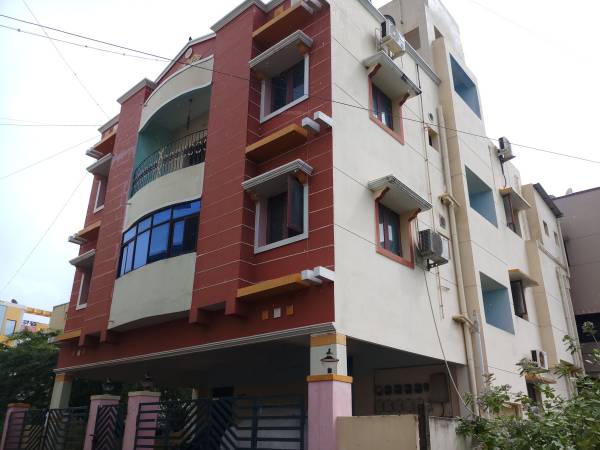  orchid Images for Project