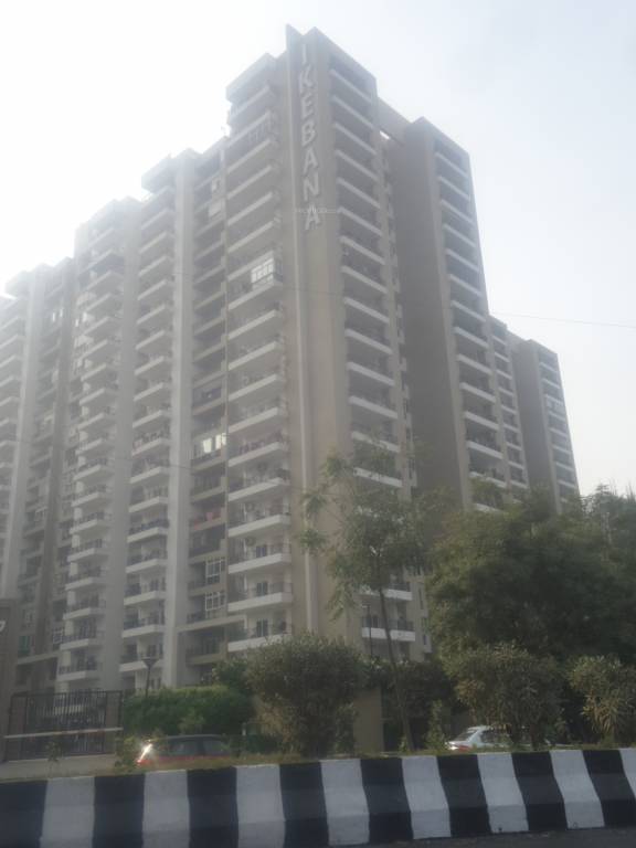 ikebana Images for Project