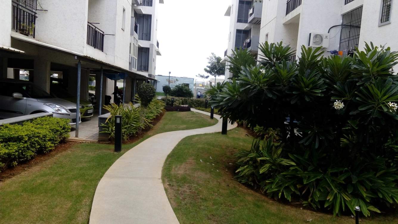  heirloom Jogging Track