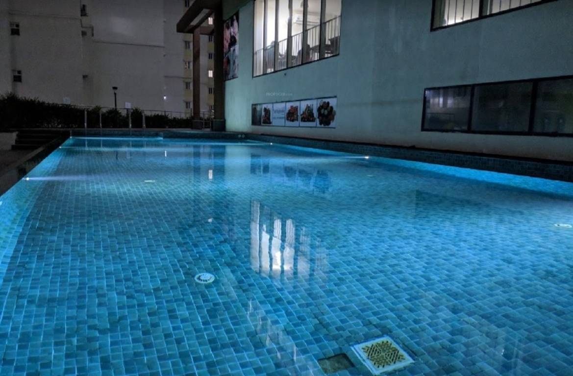  celestia Swimming Pool