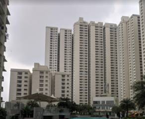 Project Image Project Image