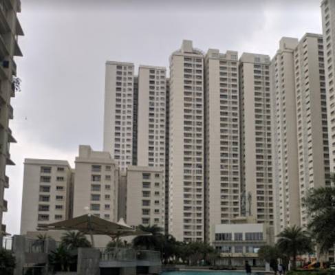 bellezza Images for Project Images for Project