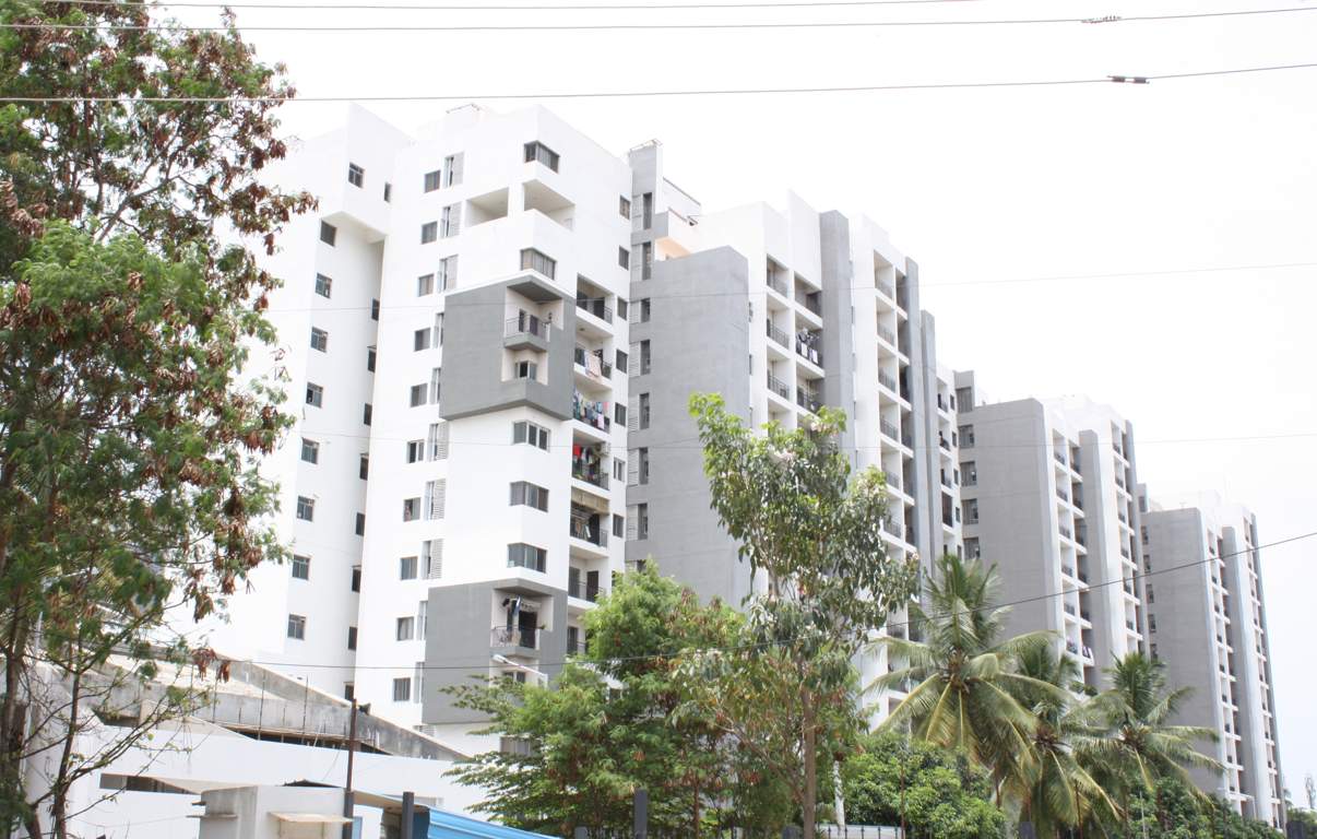 passion elite Images for Elevation of ND Passion Elite