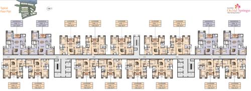 Images for Cluster Plan of Alliance Orchid Springs orchid-springs Images for Cluster Plan of Alliance Orchid Springs