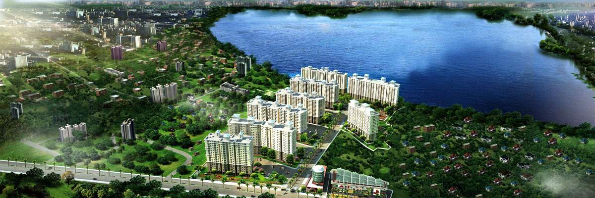 orchid springs Images for Elevation of Alliance Orchid Springs