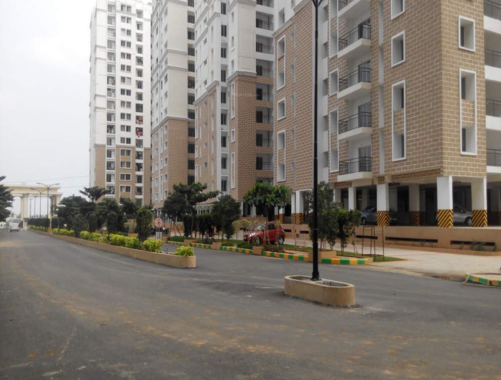 orchid springs Images for Elevation of Alliance Orchid Springs