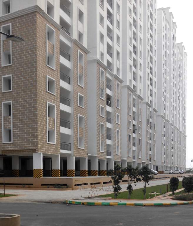 orchid springs Images for Elevation of Alliance Orchid Springs